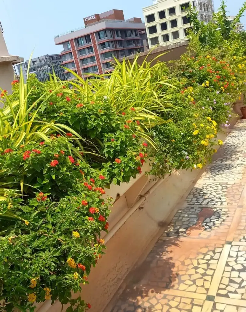 Baria's Ecogardens