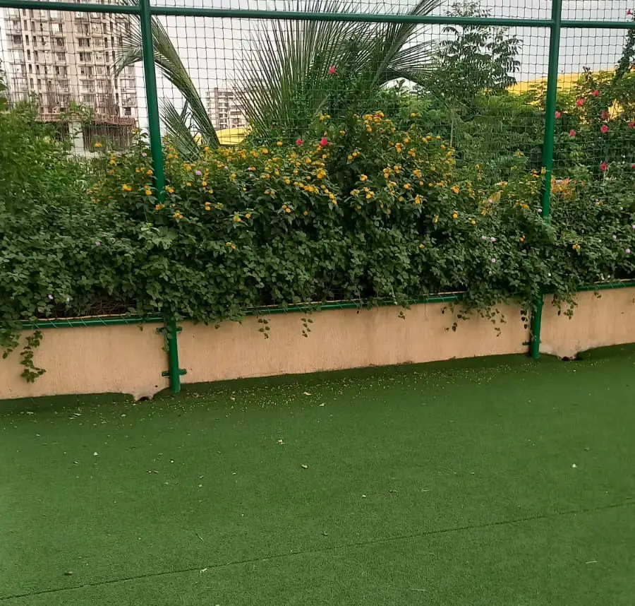 Baria's Ecogardens