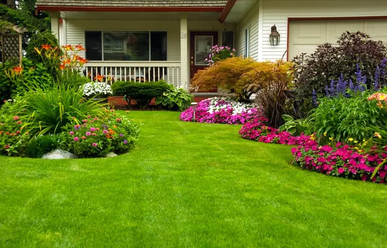 Garden Design