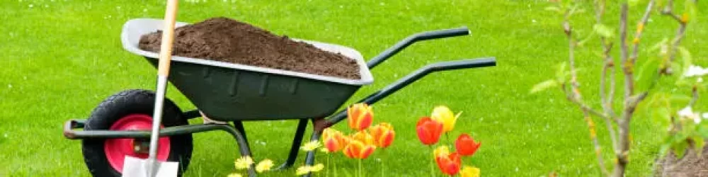 Wheelbarrow with compost for the flowerbeds