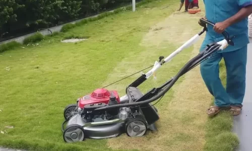 lawn-cutting-e1718550074923-669x480