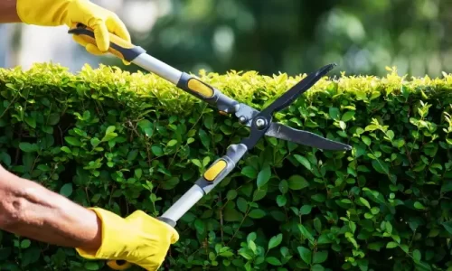 maintenance
